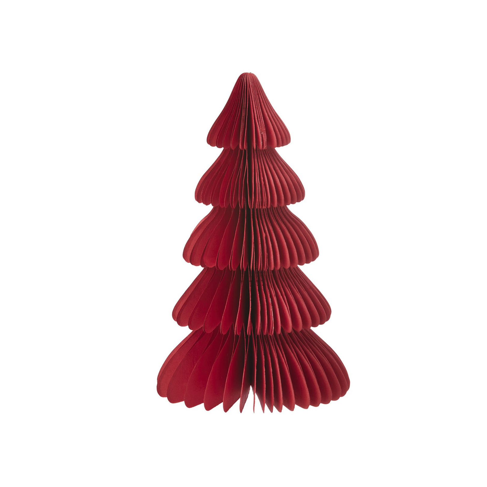 Evergreen Paper Tree